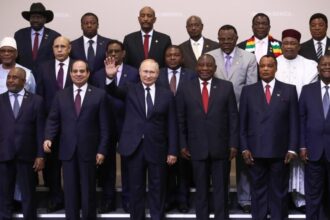 brics vladimir putin africa leaders russia