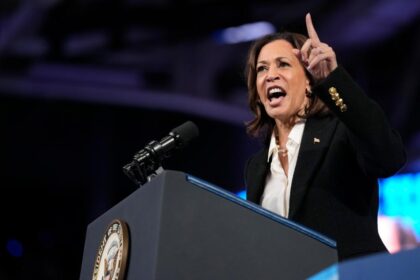 Harris is laying out a new plan to empower Black men as she tries to energize them to vote for her