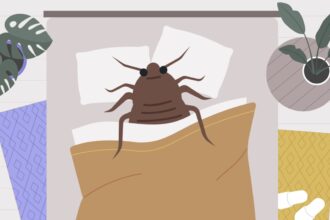 How to Avoid Getting Bed Bugs When You Travel