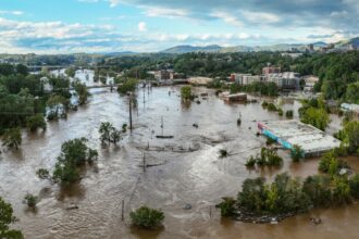 Hurricane Helene’s Impact on Travel and How to Help