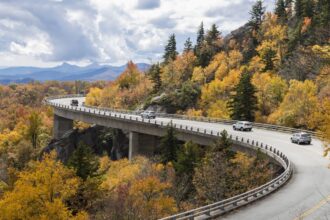 Tips to Avoid Thanksgiving Traffic and Crowds at the Airport