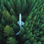 Why choosing to carbon offset your flight isn’t always the greenest option