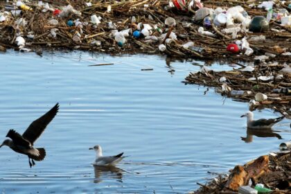 L.A. County sues Pepsi and Coca-Cola over their role in ongoing plastic pollution crisis