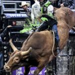 TKO to acquire Professional Bull Riders and other Endeavor assets in $3.25-billion deal