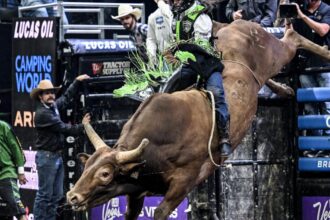 TKO to acquire Professional Bull Riders and other Endeavor assets in $3.25-billion deal