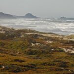 White House announces first California marine sanctuary managed by Indigenous peoples