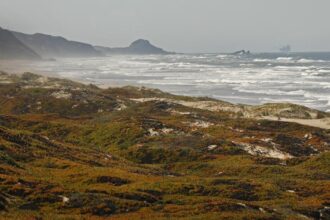 White House announces first California marine sanctuary managed by Indigenous peoples