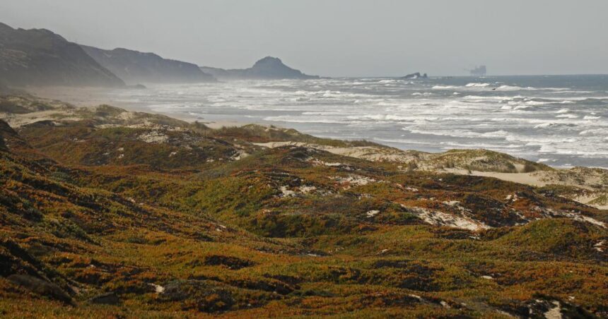 White House announces first California marine sanctuary managed by Indigenous peoples