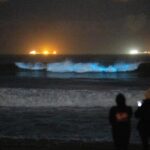 Southern California's bioluminescent waves are back. It may not be too late to see the electric blue nights