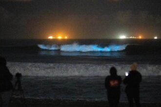 Southern California's bioluminescent waves are back. It may not be too late to see the electric blue nights