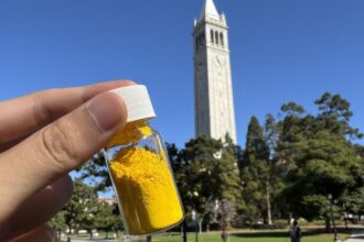 Half a pound of this powder can remove as much CO₂ from the air as a tree, scientists say