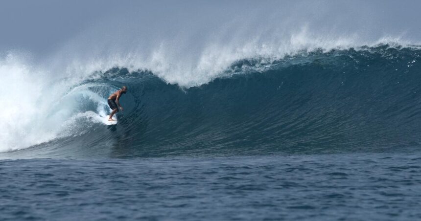 Surfer dies after being impaled by a swordfish in Indonesia