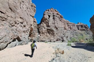 Boiling Point: California's role in the global fight to protect nature