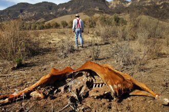 Climate change identified as main driver of worsening drought in the Western United States