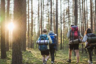 Bird watching, hiking and history: Escape to nature on a trip to Lithuania’s tranquil national parks