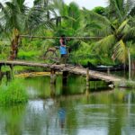 Emerald backwaters, golden beaches and hilltop havens: Northern Kerala is India’s tranquil gem