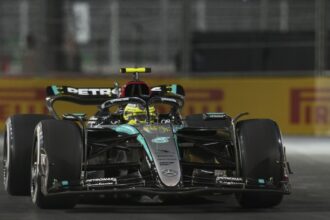 Lewis Hamilton speaks to Euronews ahead of Formula 1 race in Qatar