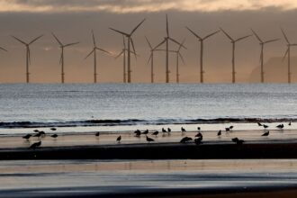 Sweden rejects applications for thirteen offshore wind farms, citing security concerns