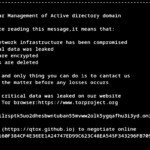 Ransomware attacks on VMware and Linux Systems