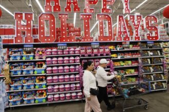 Deal-hungry shoppers hit stores on Black Friday to kick off critical holiday season