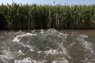 Groundwater pumping is causing land to sink at record rate in San Joaquin Valley