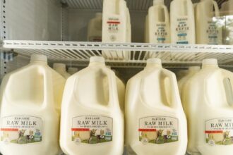 Questions follow massive recall of California raw milk after bird flu testing