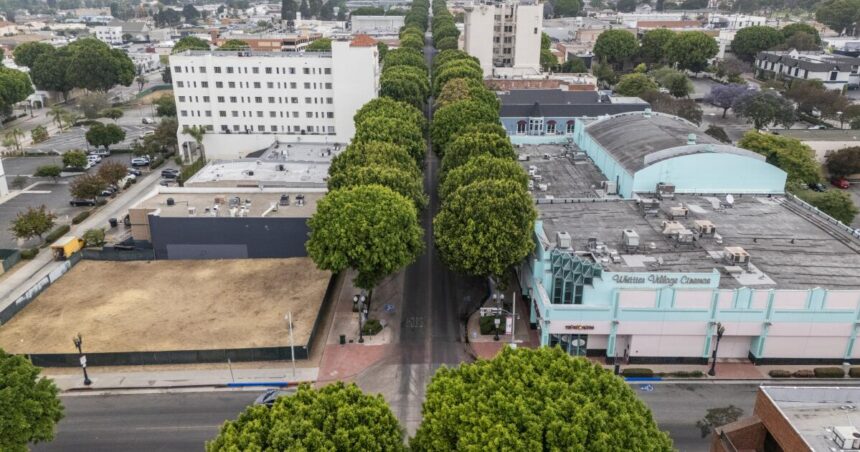 Preservation group sues Whittier over plan to raze more than 100 trees