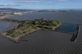 Elevated radiation detected at former Bay Area landfill turned art park