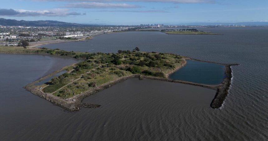 Elevated radiation detected at former Bay Area landfill turned art park