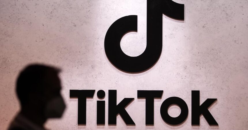 TikTok lost a major legal bid to avoid a U.S. ban. Now what?