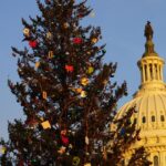 Why the Forest Service is encouraging people to cut Christmas trees on public lands (with permits)