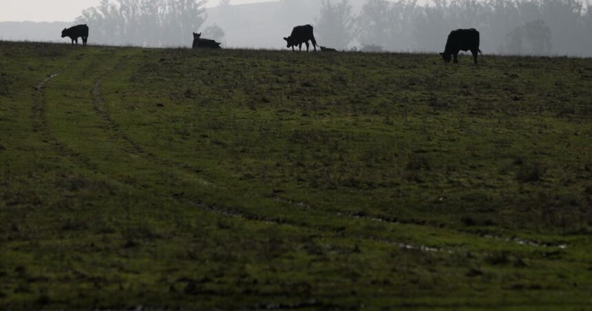 With government shutdown looming, what happens to bird flu surveillance?