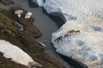 Alaska is a climate victim and a perpetrator. The next four years will only make matters worse