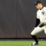 MLB auction: Aaron Judge's dropped World Series ball can be yours