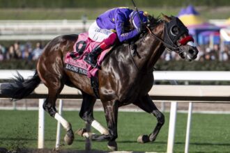 Raging Torrent beats Kentucky Derby winner Mystik Dan on opening day at Santa Anita