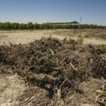 Near-complete ban on agricultural burning finally takes effect in San Joaquin Valley